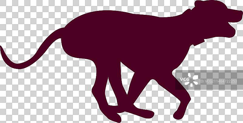 狗狗奔跑序列 6图片素材