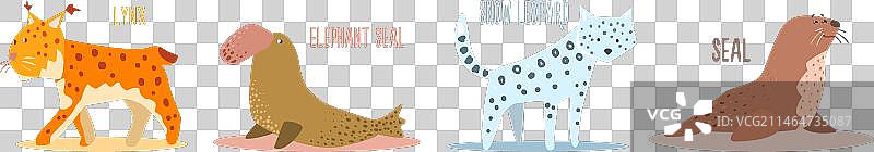 有趣的北极野生极地动物图片素材