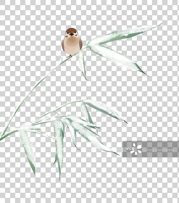 竹叶雪麻雀素材图片素材