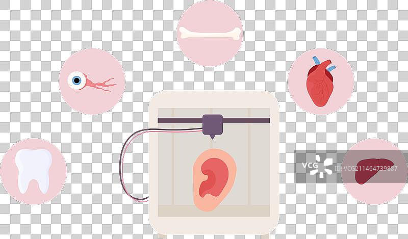 3D打印生物打印人造器官图片素材