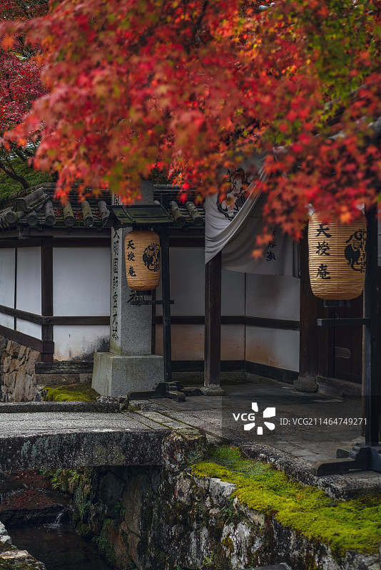 京都天授庵红叶季图片素材