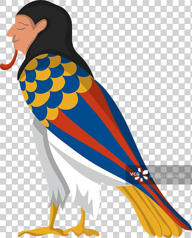 埃及巴鸟图片素材