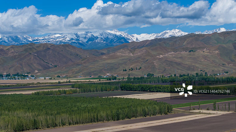 大美新疆独库公路伊犁唐布拉百里画廊秋季自然风光图片素材