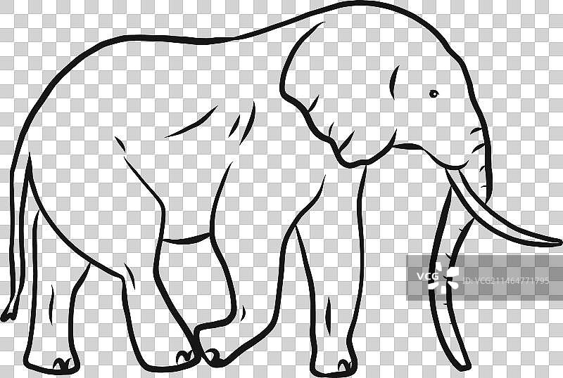 大象耳朵象牙鼻子尾巴素描图片素材