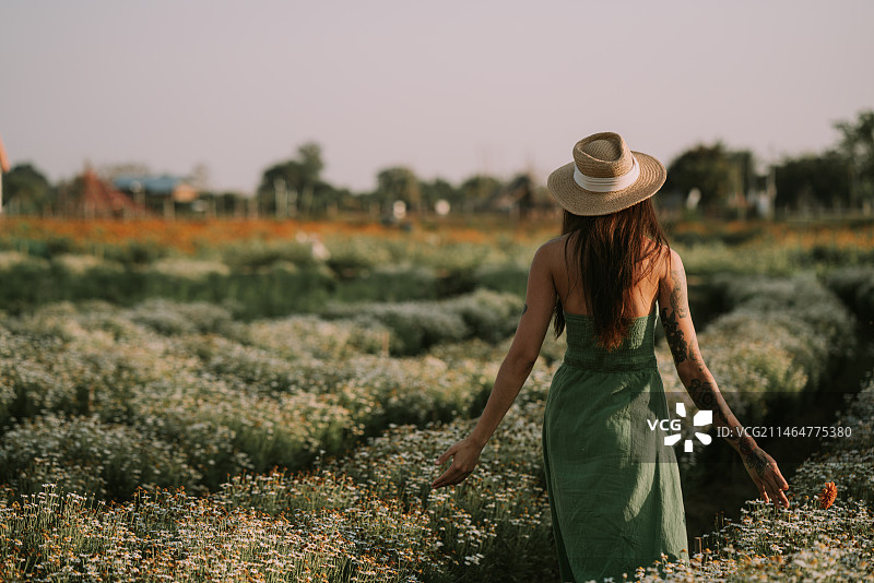 在泰国清迈日落时分，戴草帽、穿绿裙的女人在田野里行走图片素材