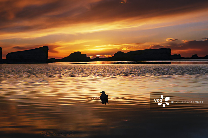 夕阳下的乌素特（水上）骓丹图片素材