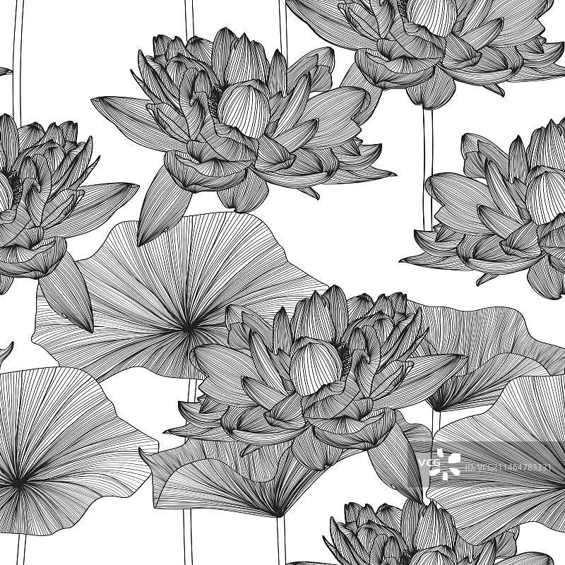 莲花无缝图案背景图片素材