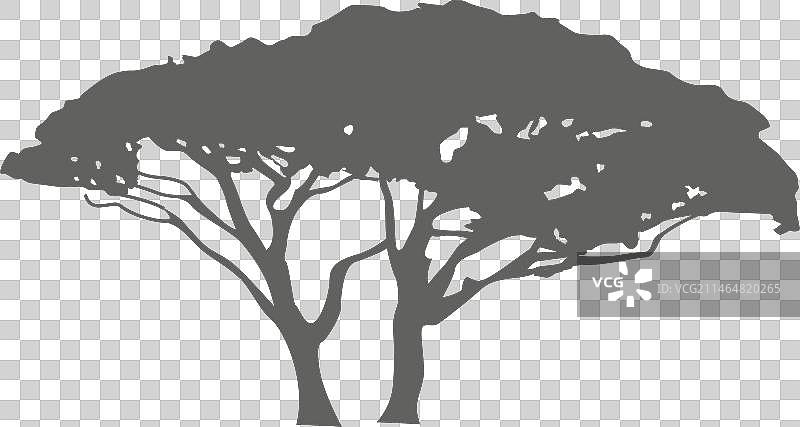 奇异树剪影图片素材