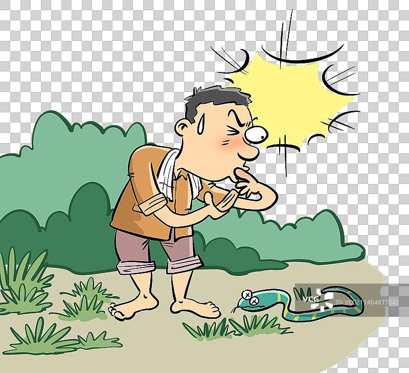 男子在野外被毒蛇咬伤用嘴吸毒图片素材