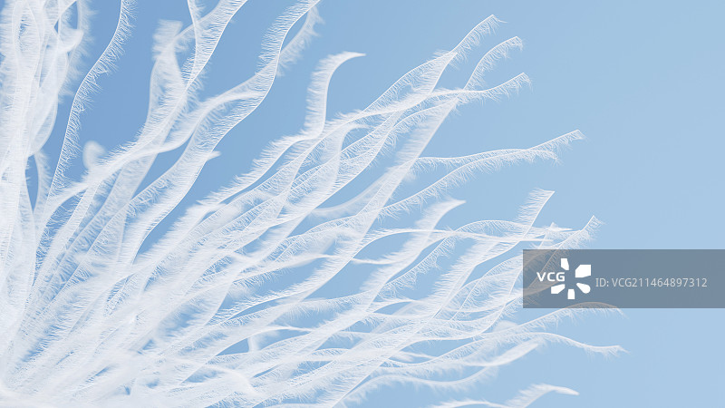 羽绒特写填充保暖图片素材