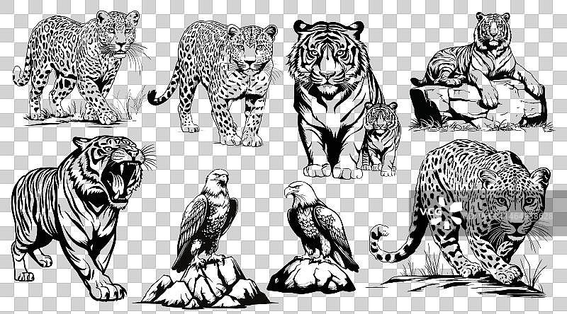 手绘素描风动物图案合集图片素材