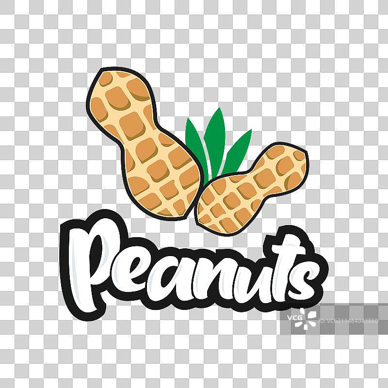 花生logo设计模板图片素材