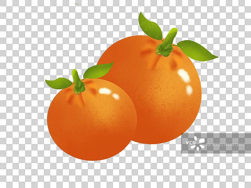 新年水果桔子红包卡通插画元素图片素材