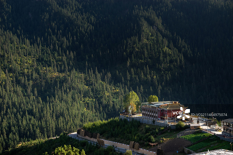 山谷 森林 寺庙图片素材