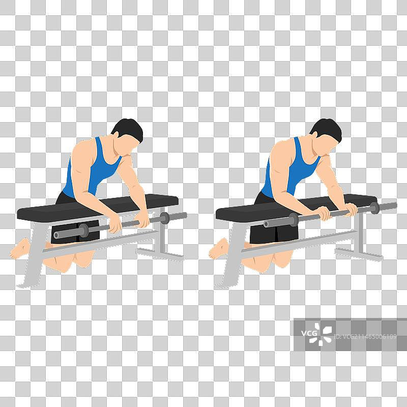 男人在长凳上做杠铃反握腕弯举图片素材