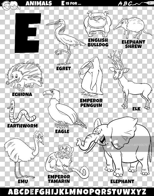 字母E卡通动物角色合集图片素材