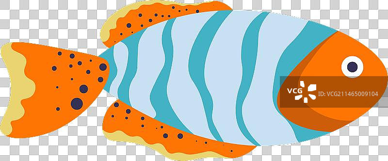 眼斑海葵鱼海洋珍稀鱼类图片素材