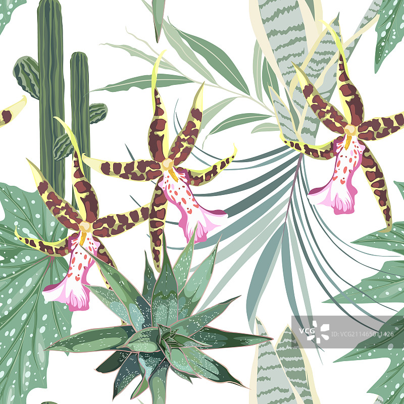 热带异域植物无缝图案图片素材