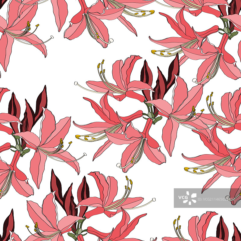 杜鹃花无缝图案图片素材