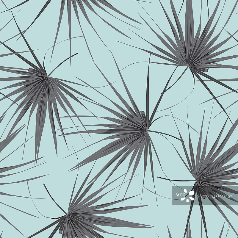 热带异域风情扇形棕榈无缝图案图片素材