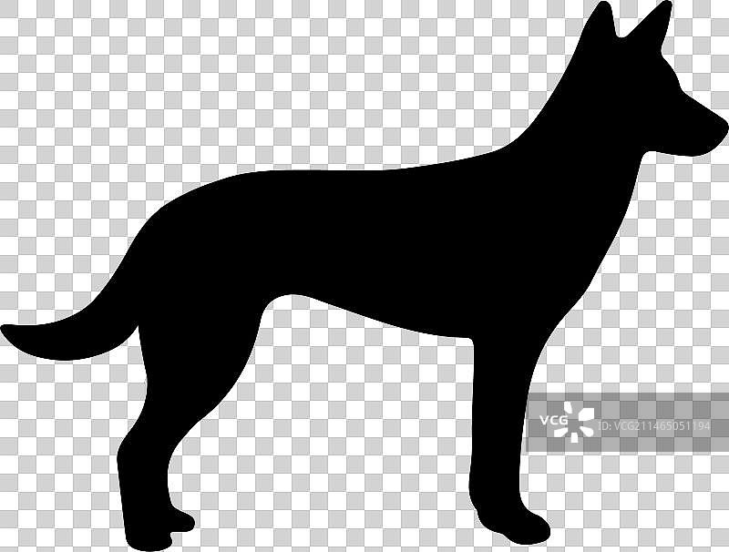 澳洲野狗轮廓艺术图片素材