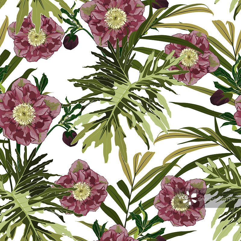 盛开的铁筷子花无缝图案图片素材