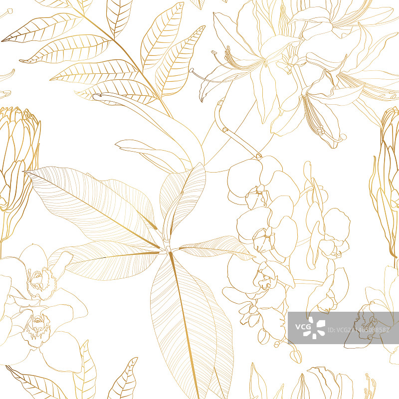 金色热带植物线条花卉图案图片素材