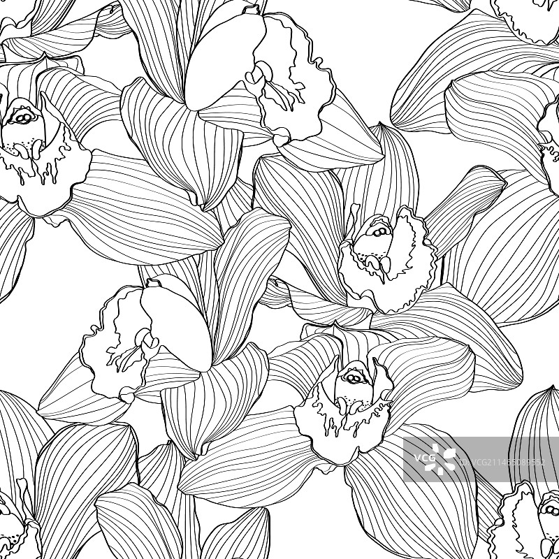 蝴蝶兰无缝花卉图案图片素材