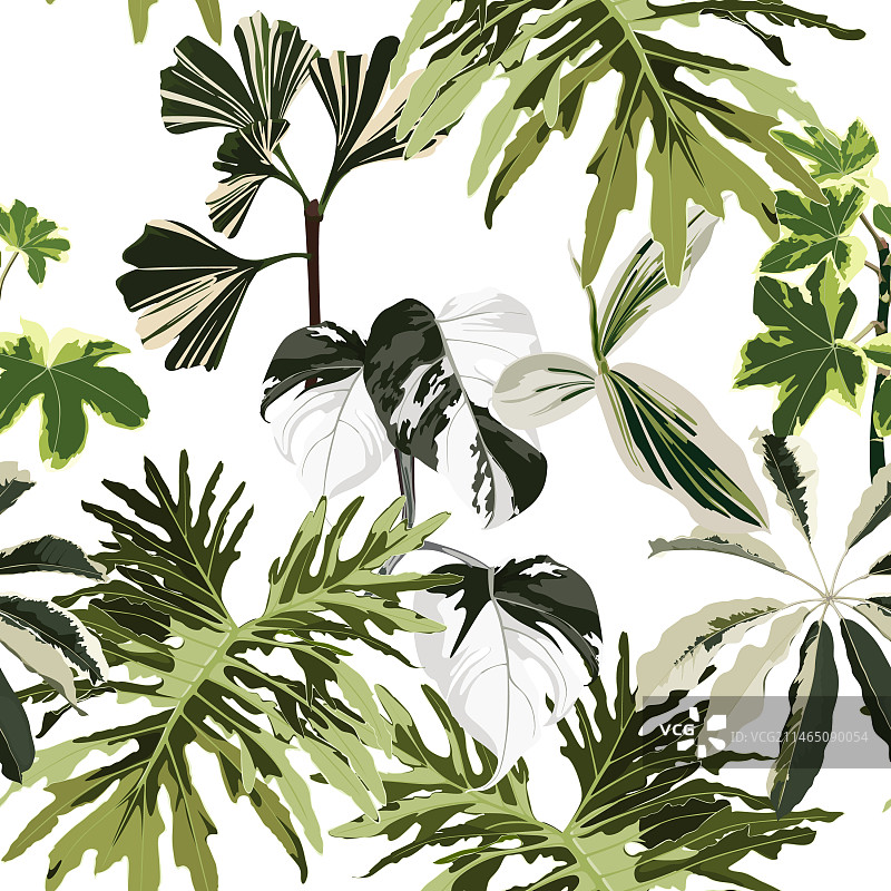 龟背竹棕榈树无缝图案图片素材