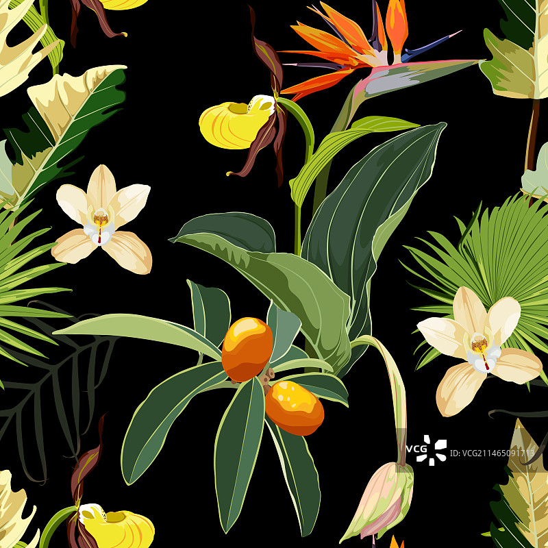 热带树叶与鹤望兰花的无缝设计图片素材