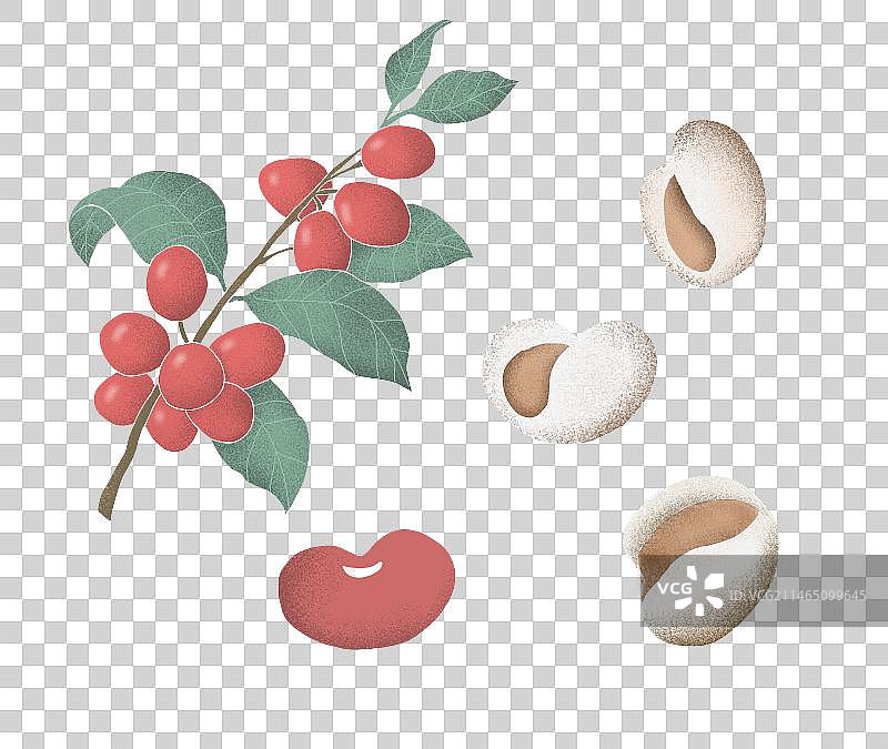 肌理插画红豆薏米养生药材素材图片素材