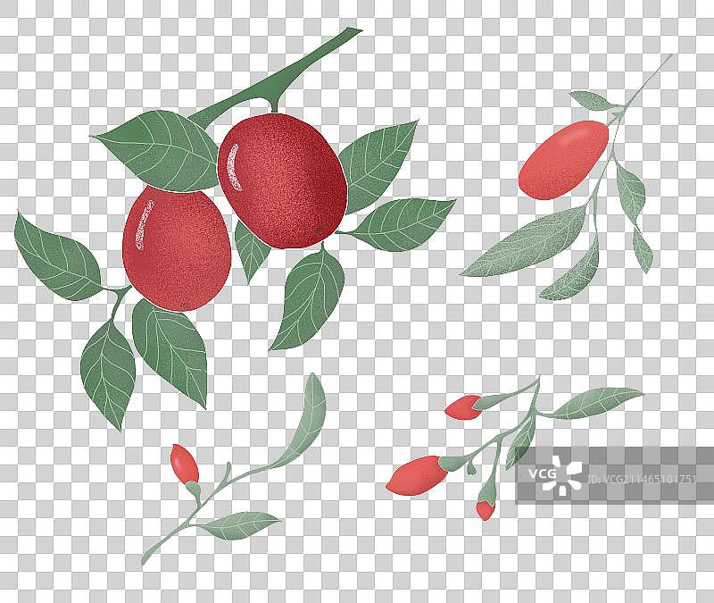 肌理插画红枣枸杞养生药材素材图片素材