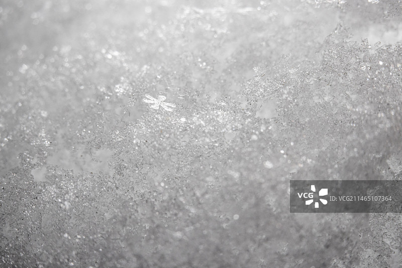 超级微距镜头东北冬季寒冷冰霜雪花特写结冰图片素材