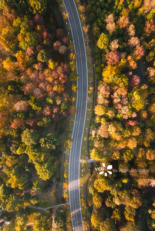 合肥南艳湖图片素材