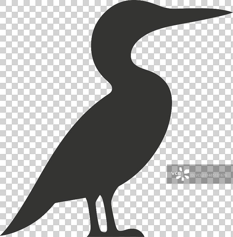 鸬鹚鸟图标图片素材