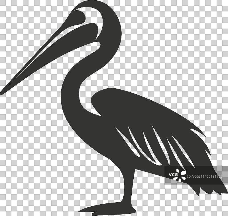 棕色鹈鹕鸟图标图片素材