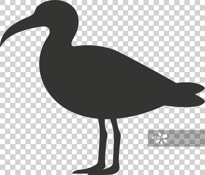 信天翁鸟图标图片素材