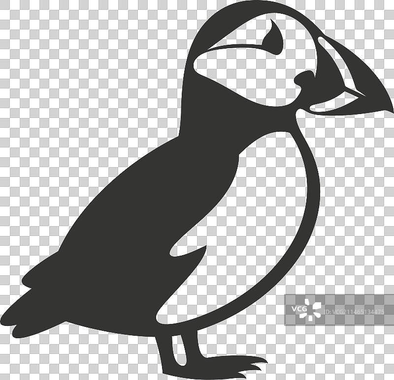 海鹦鸟图标图片素材