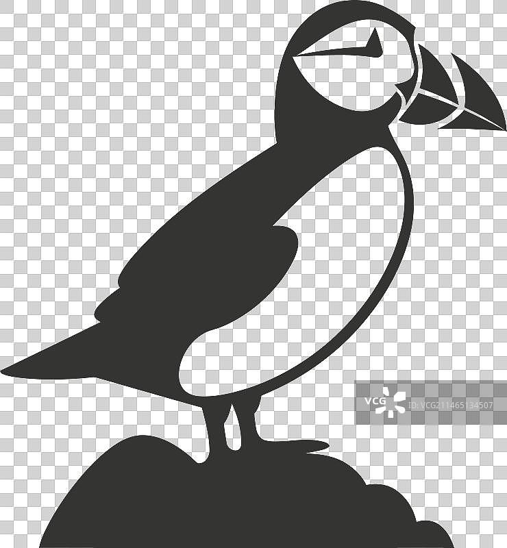 海鹦鸟图标图片素材