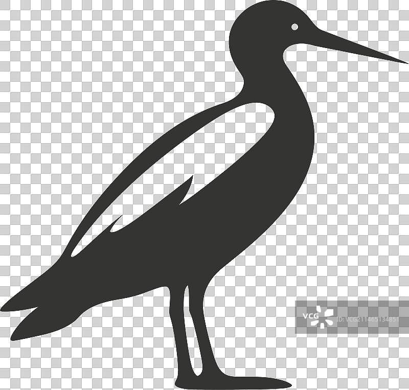 塘鹅鸟图标图片素材