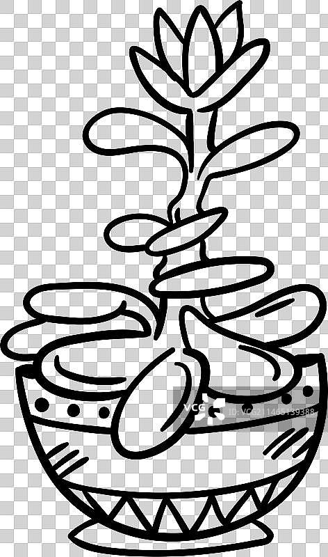 玉树盆栽多肉植物轮廓图片素材