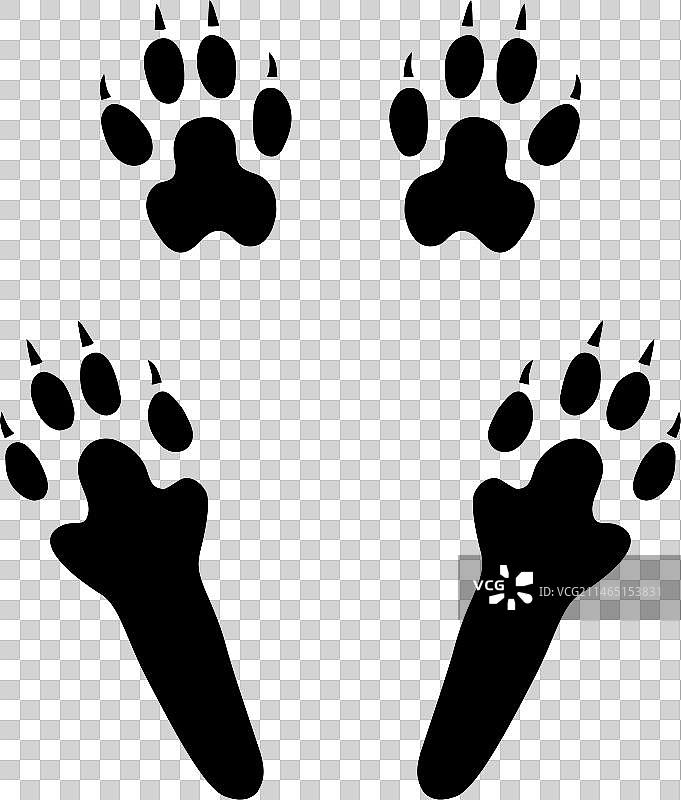 四个脚趾的兔子或野兔爪子脚印剪影图片素材