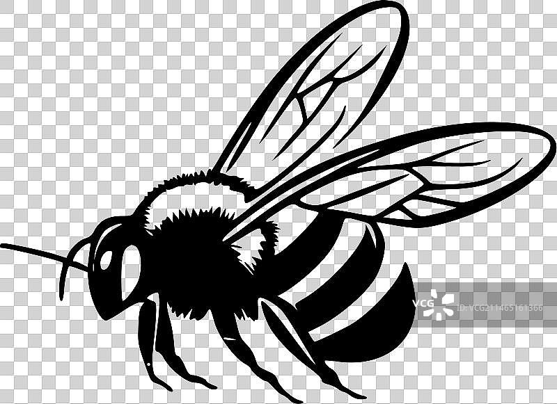 蜜蜂黑白矢量图图片素材