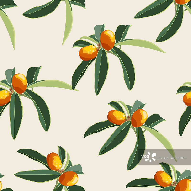 金桔无缝背景图片素材