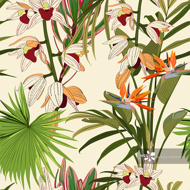外来兰花无缝热带花卉印花图片素材