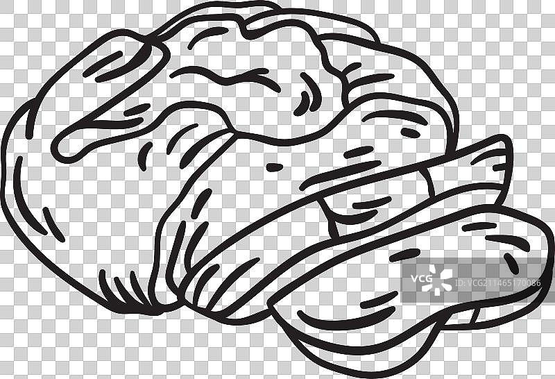 传统苏打面包笔触图片素材