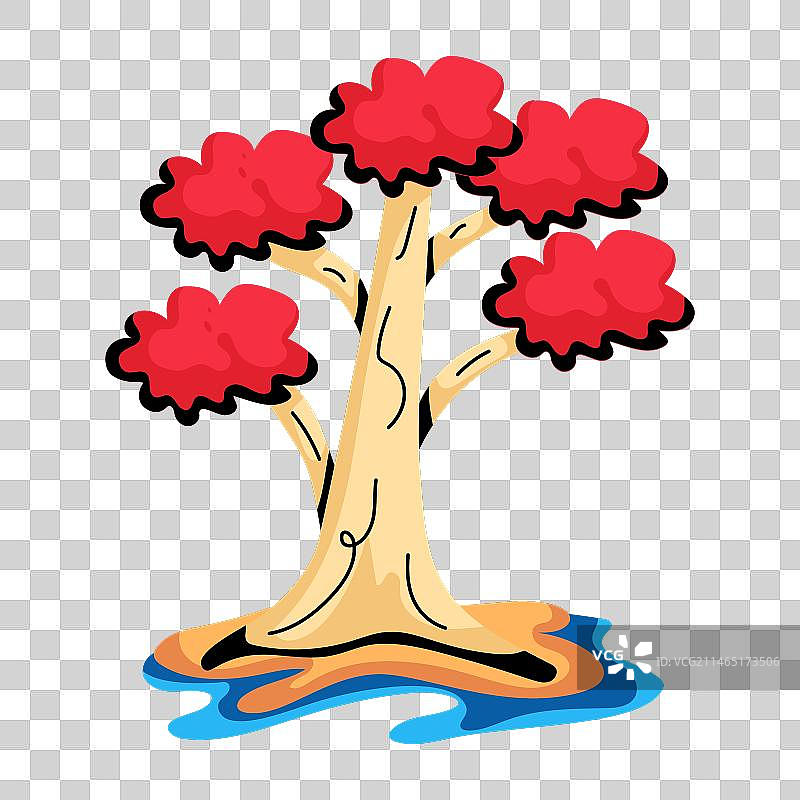 凤凰木图片素材