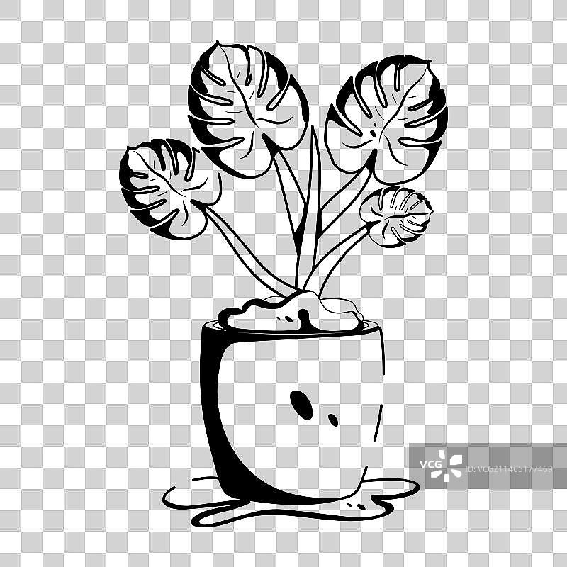 蓬莱蕉植物图片素材