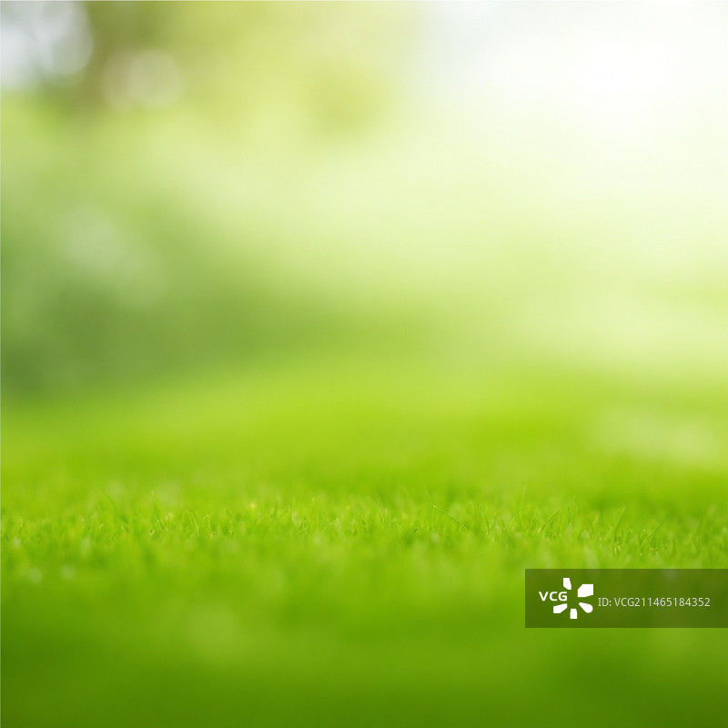 明亮阳光下的自然渐变背景图片素材