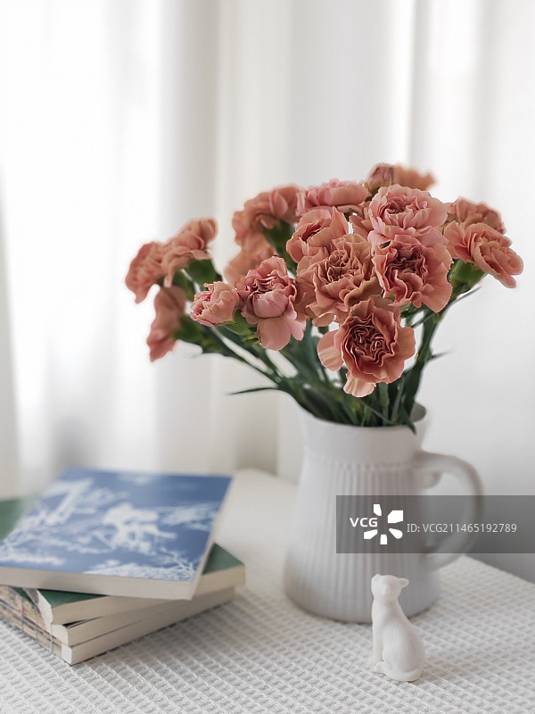 康乃馨图片素材